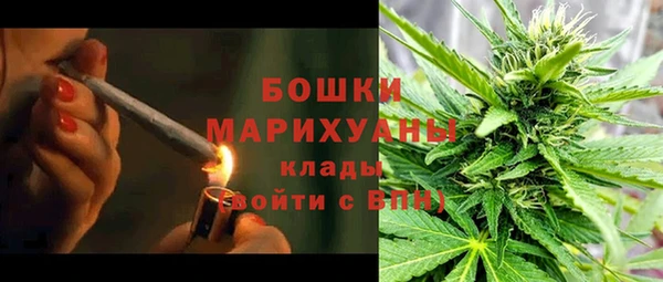 сатива Арсеньев